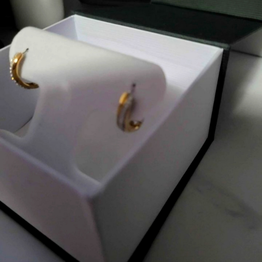 Women mall 10 K Gold and and diamond hoop earring